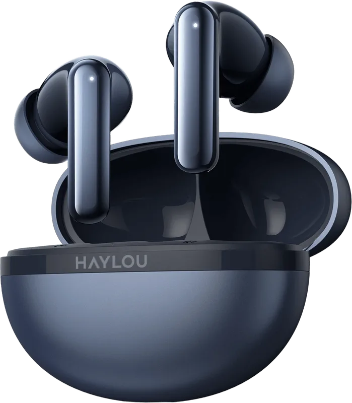 Haylou Flowbuds N50